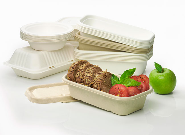 BioCane range of compostable food containers, packaging