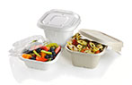 BioCane takeaway containers with lids, biodegradable and compostable