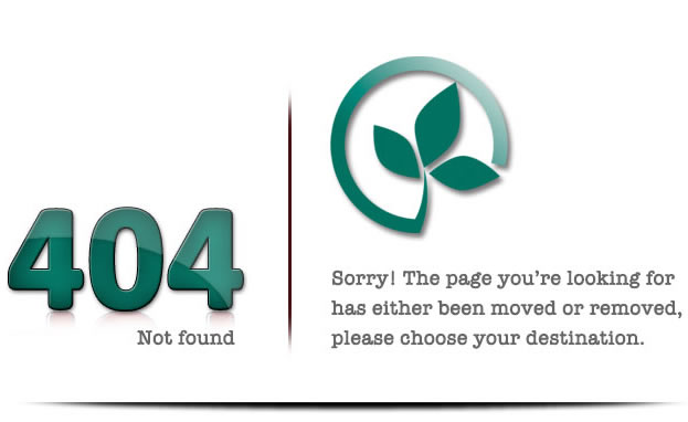 404 page not found